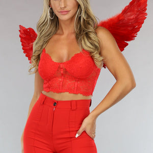 KOSTUUM Rode Duivel Vleugels