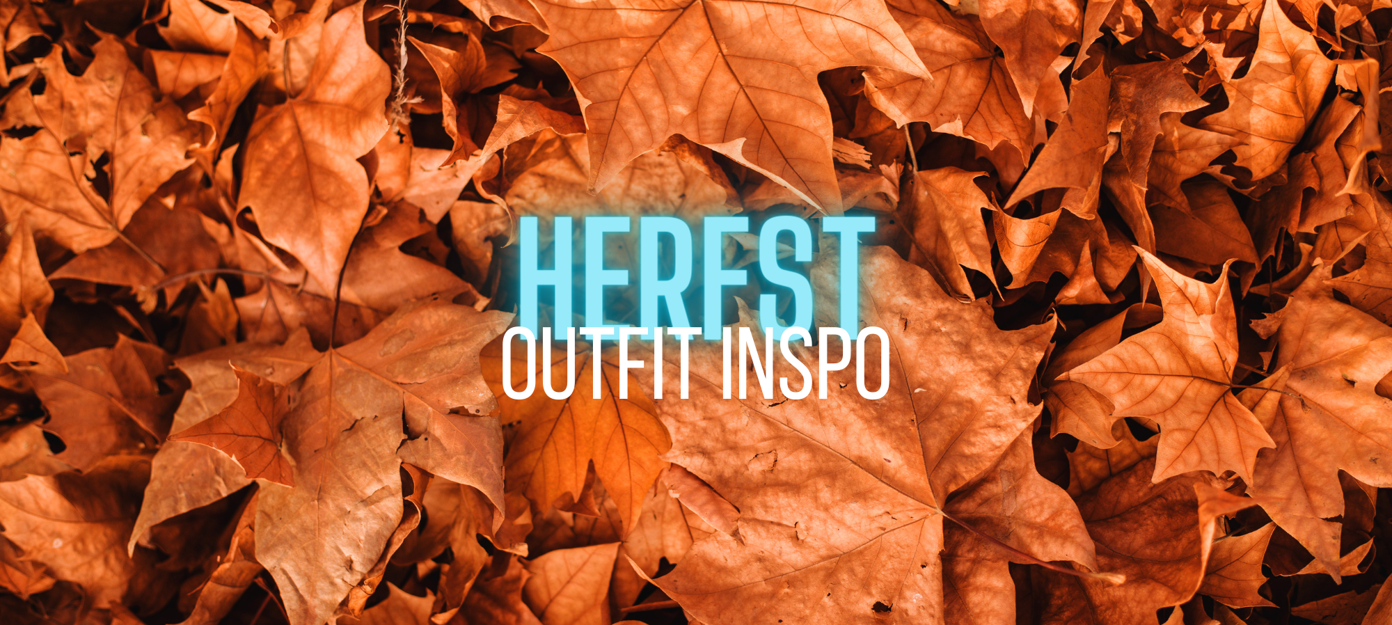 Blog Banners (36)