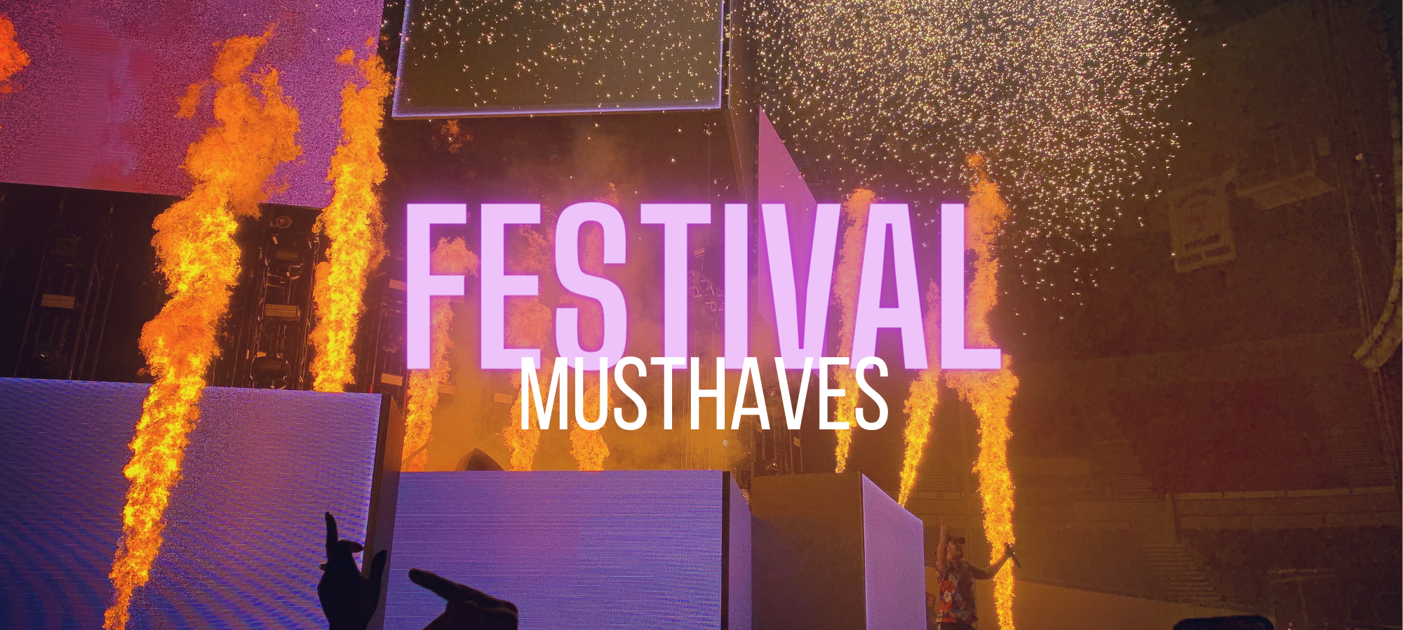 Festival Banner (39)