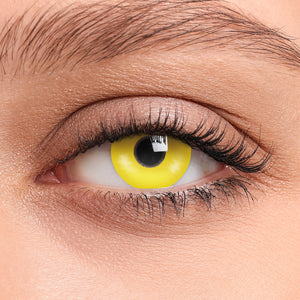 Felgele Wolf Crazy Kleurlenzen