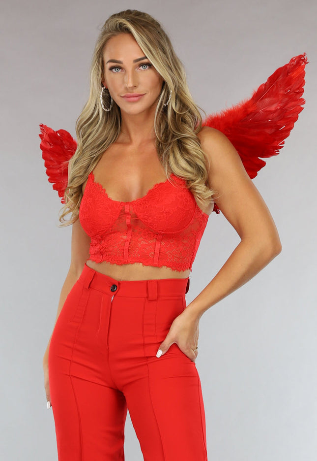 KOSTUUM Rode Duivel Vleugels