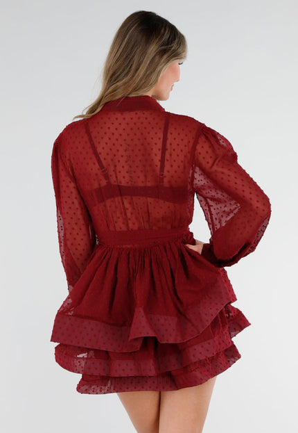 NEW040326 Bordeaux Mesh Jurk met Stippen