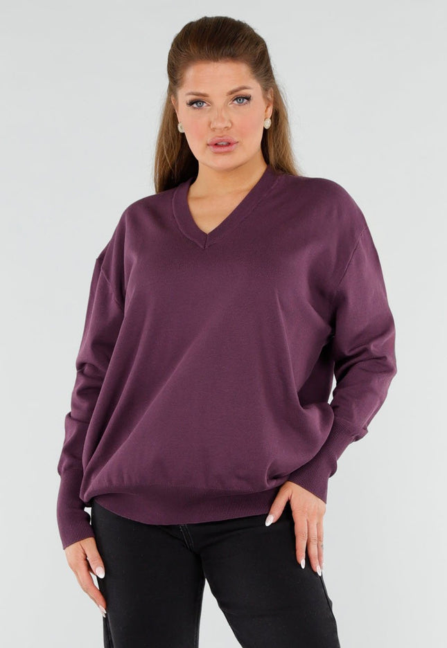 NEW051125 Aubergine Sweater met V-hals