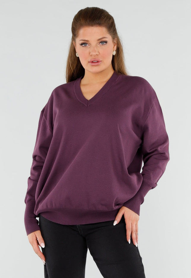 NEW051125 Aubergine Sweater met V-hals