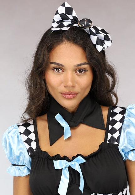 CARNA25 Alice in Wonderland Kostuum