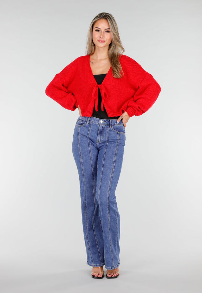 Redial Jeans Blauwe Jeans met Rechte Pijpen en Stretch