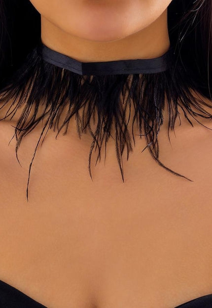 NEW1704 Zwarte Veren Choker