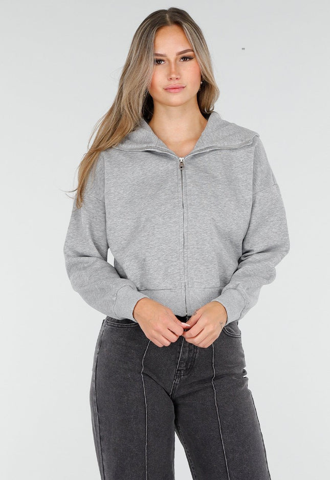 OP=OP.AV.10 Grijs Vest met Capuchon en Rits