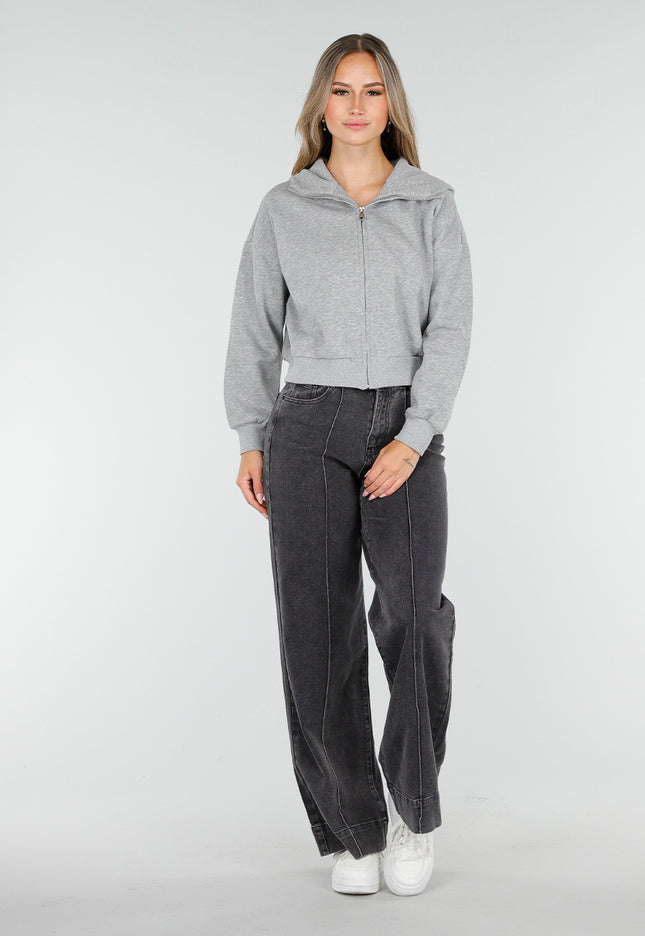 Redial Jeans Wide Leg Stretch Jeans Grijs