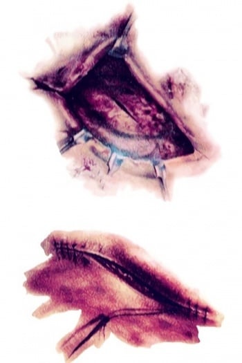 NEW1810 Tijdelijke Tattoo van Bloederige Wonden