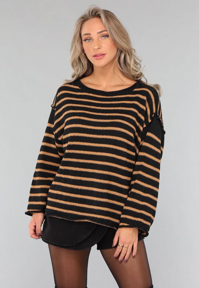 NEW2011 Zwarte Trui met Bruine Strepen