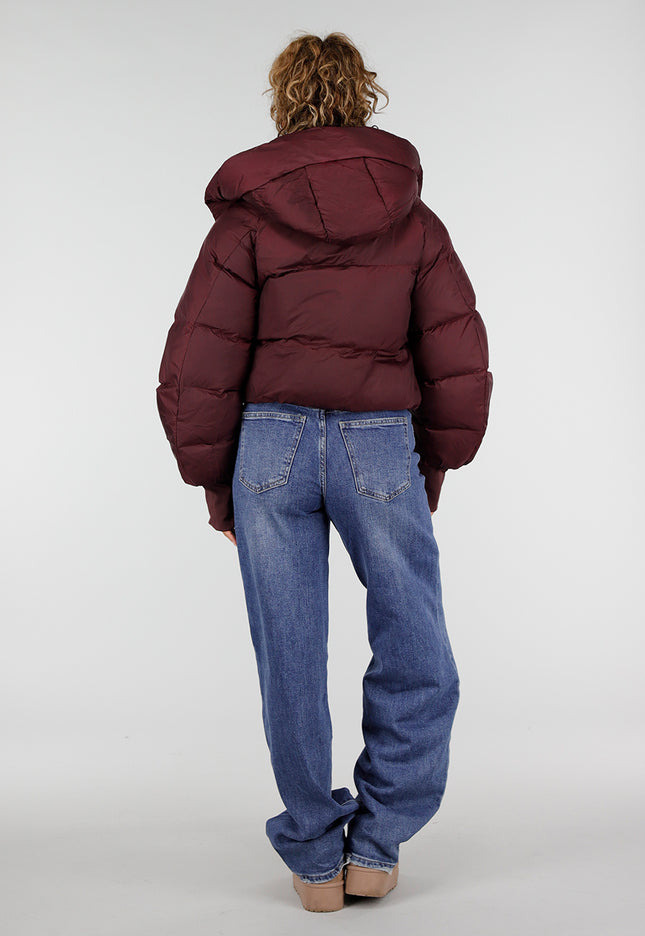 NEW230926 Bordeaux Korte Puffer Winterjas met Capuchon