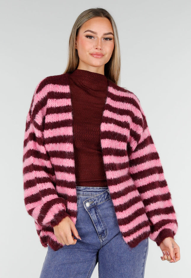 NEW261125 Gestreept Roze en Bordeaux Vest