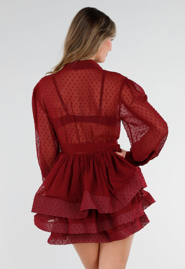 OP=OP.23.NL Bordeaux Mesh Jurk met Stippen
