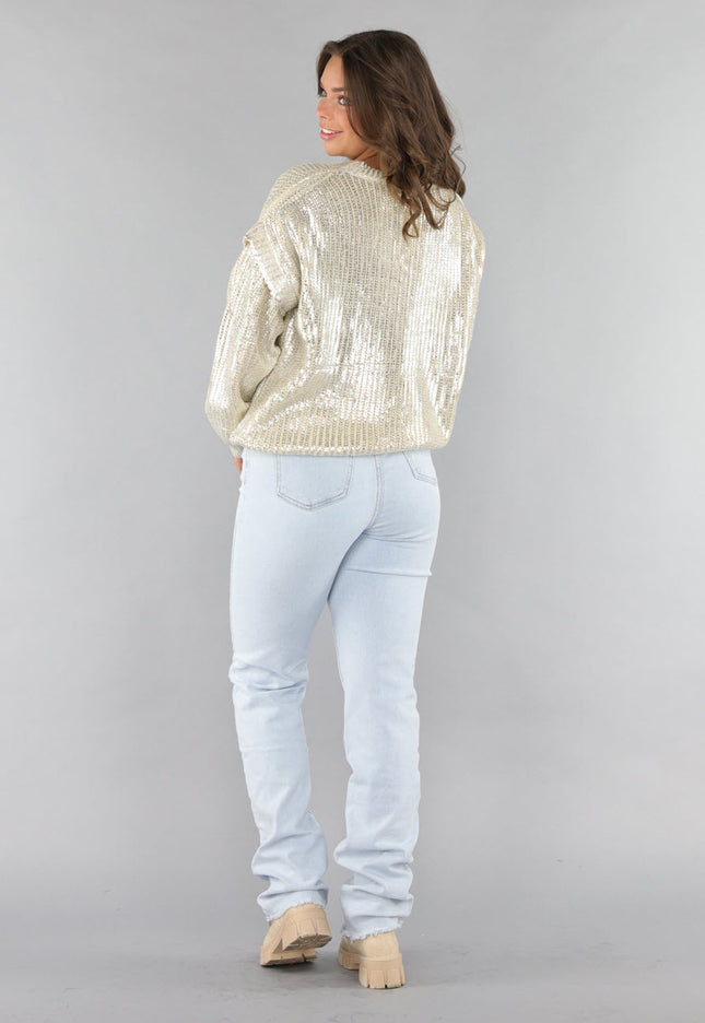 SALE30 Beige Gebreide Trui met Zilveren Coating